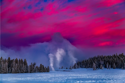 Geysers in Yellowstone National Park at Dawn in Winter
