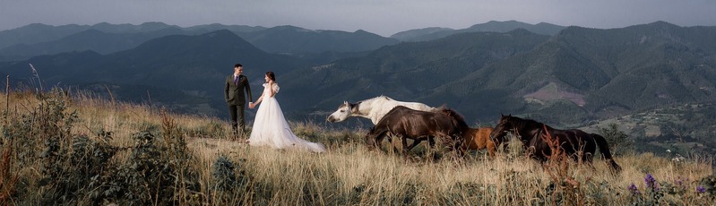 Bride, Groom and Horses Walking