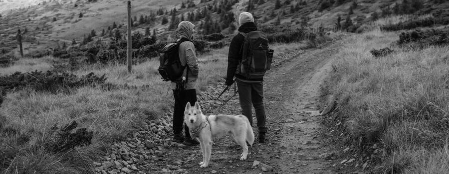 People out with a Dog in Big Sky Montana Hiking