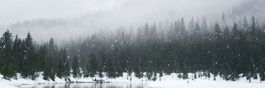 Snowing on Mountain Side with Trees