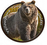 Logo-YTG-without-background Yellowstone Tour Logo
