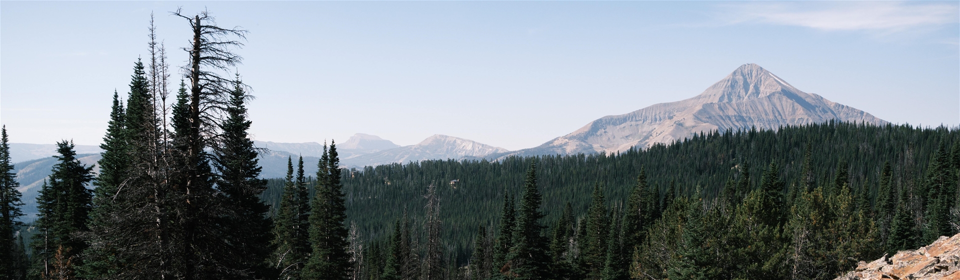 Lone Peak in Distance Overlooking Forest