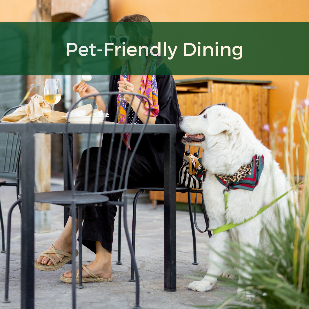 Person Eating Outside with Pet