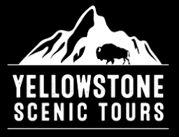 Yellowstone Scenic Tours Yellowstone Scenic Tours Logo