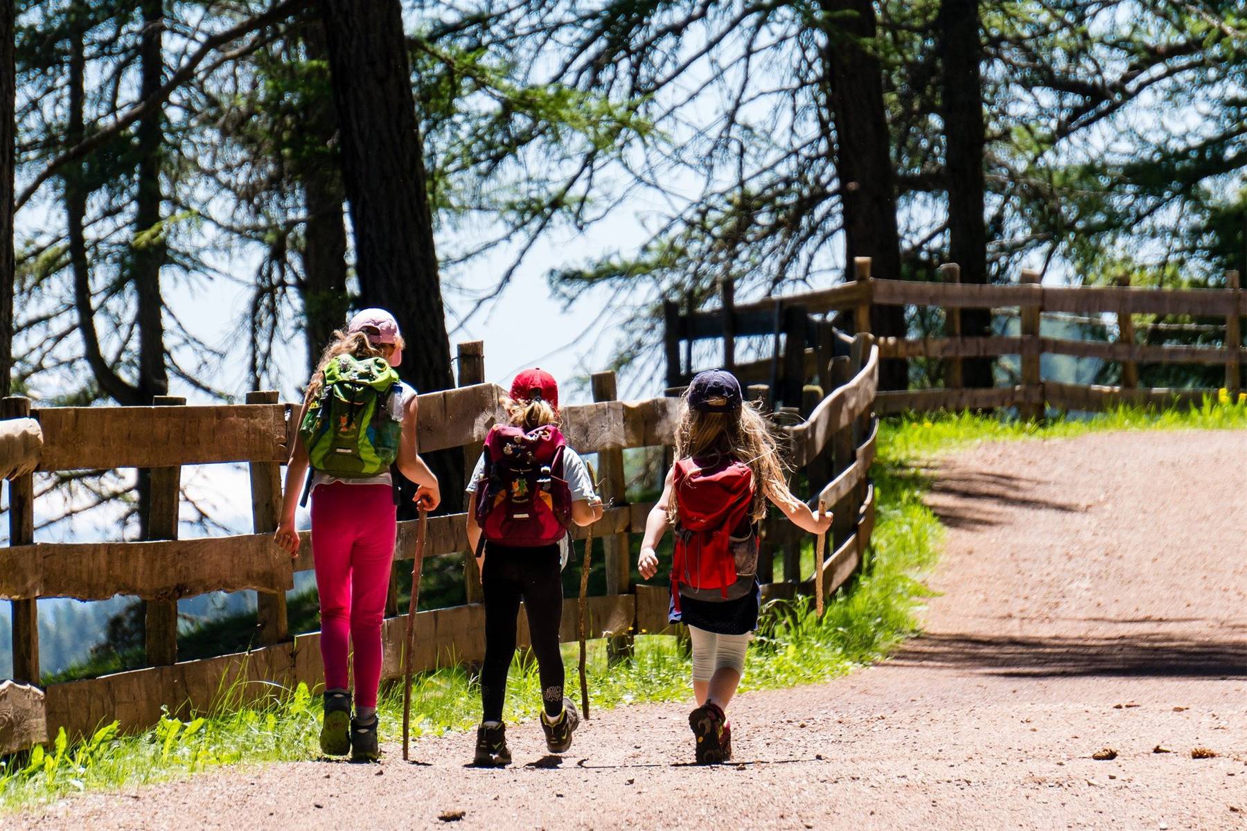Kids Hiking on Mountain Trail