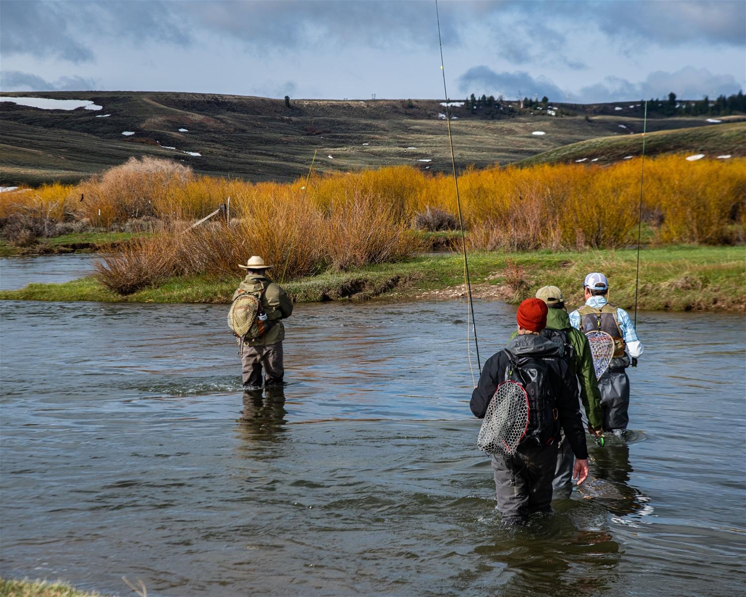 Group of People Fly Fishing
