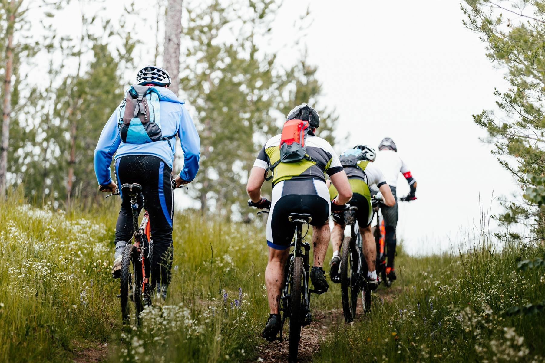 Group Mountain Biking