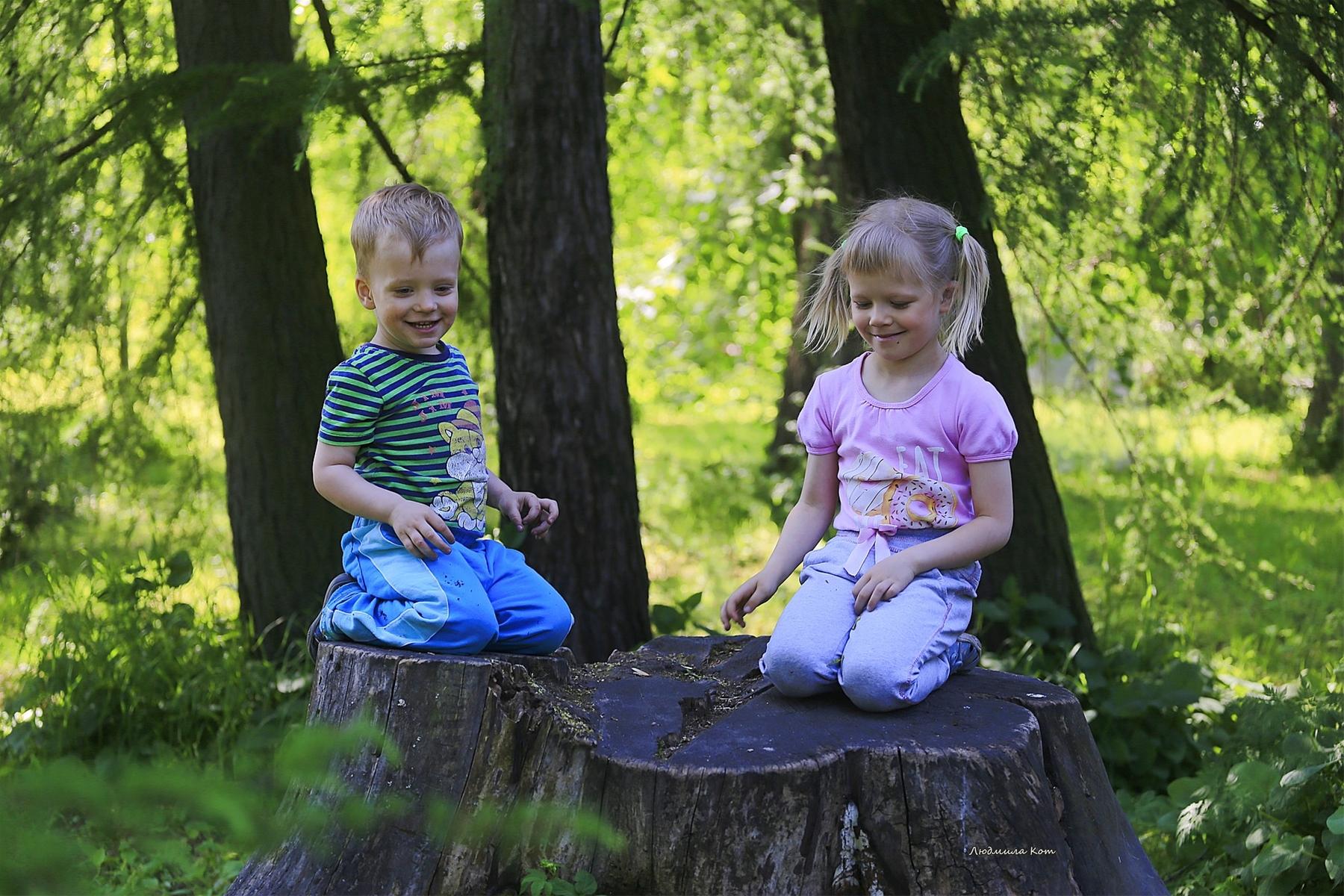 Kids Playing in Park on Tree Stump