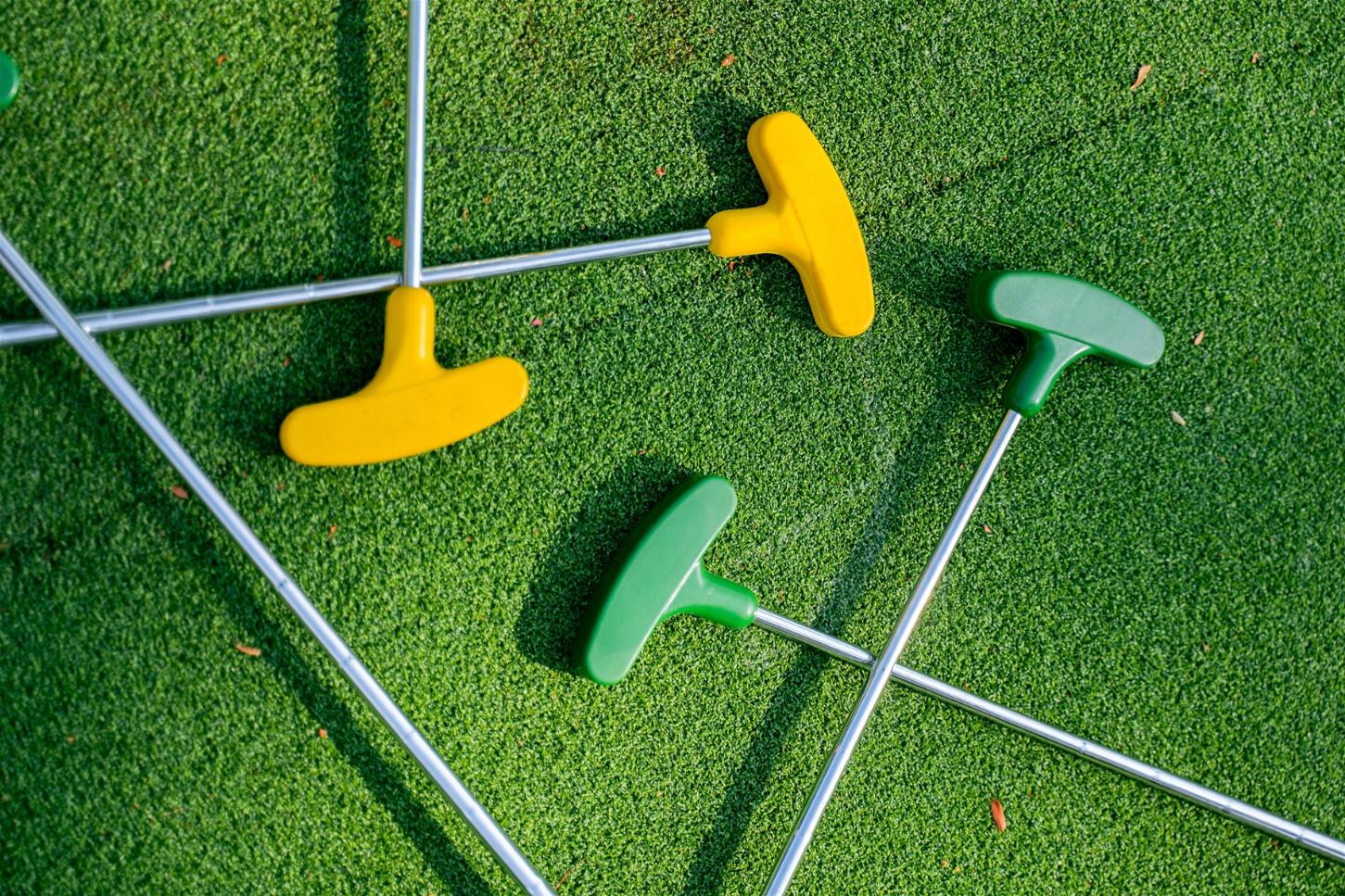 Mini Golf Putting Clubs on Putting Green
