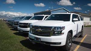 White Rental Cars on Lot