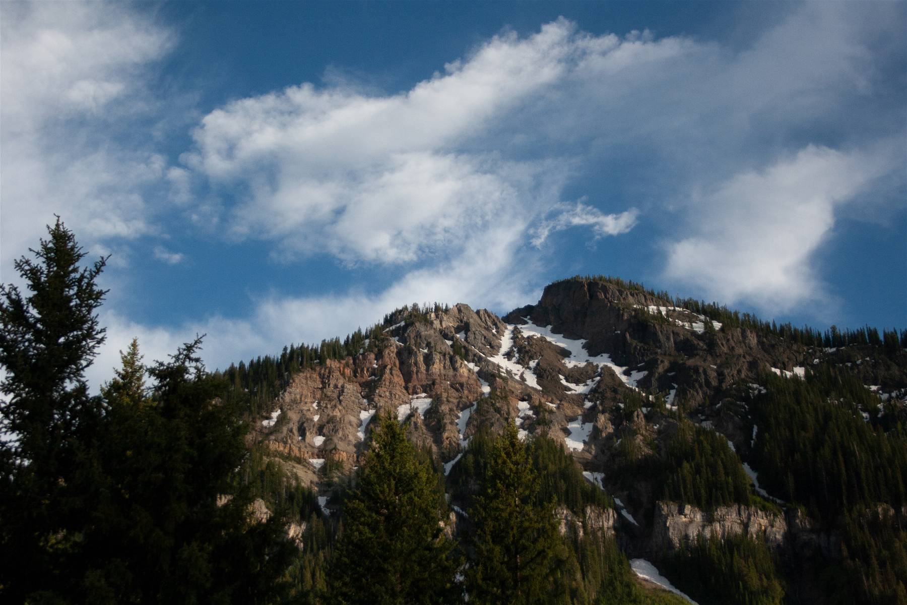 Wilson Peak in Spring