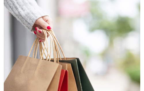 Person Holding Shopping Bags
