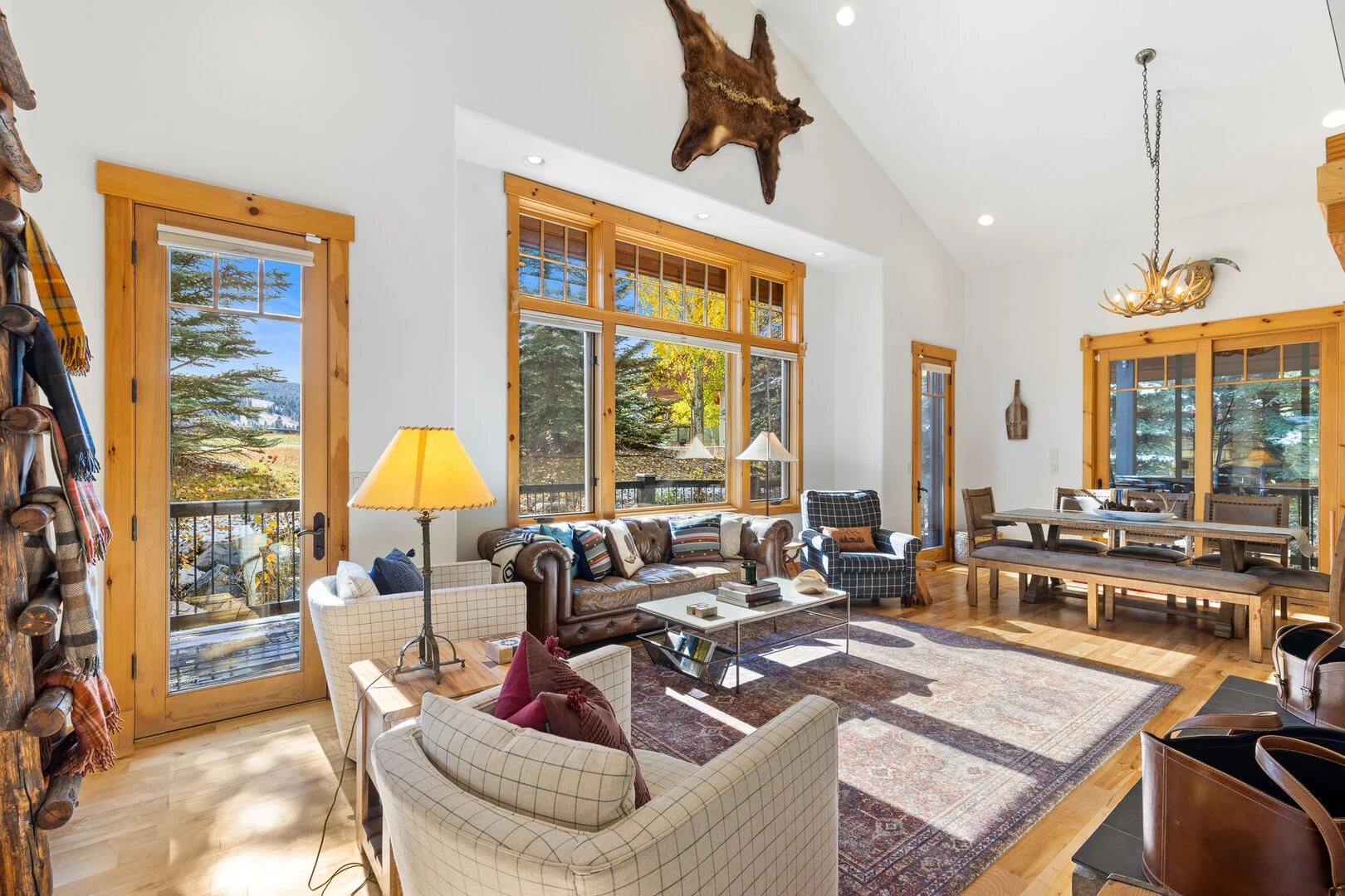 Curley Bear Living Room