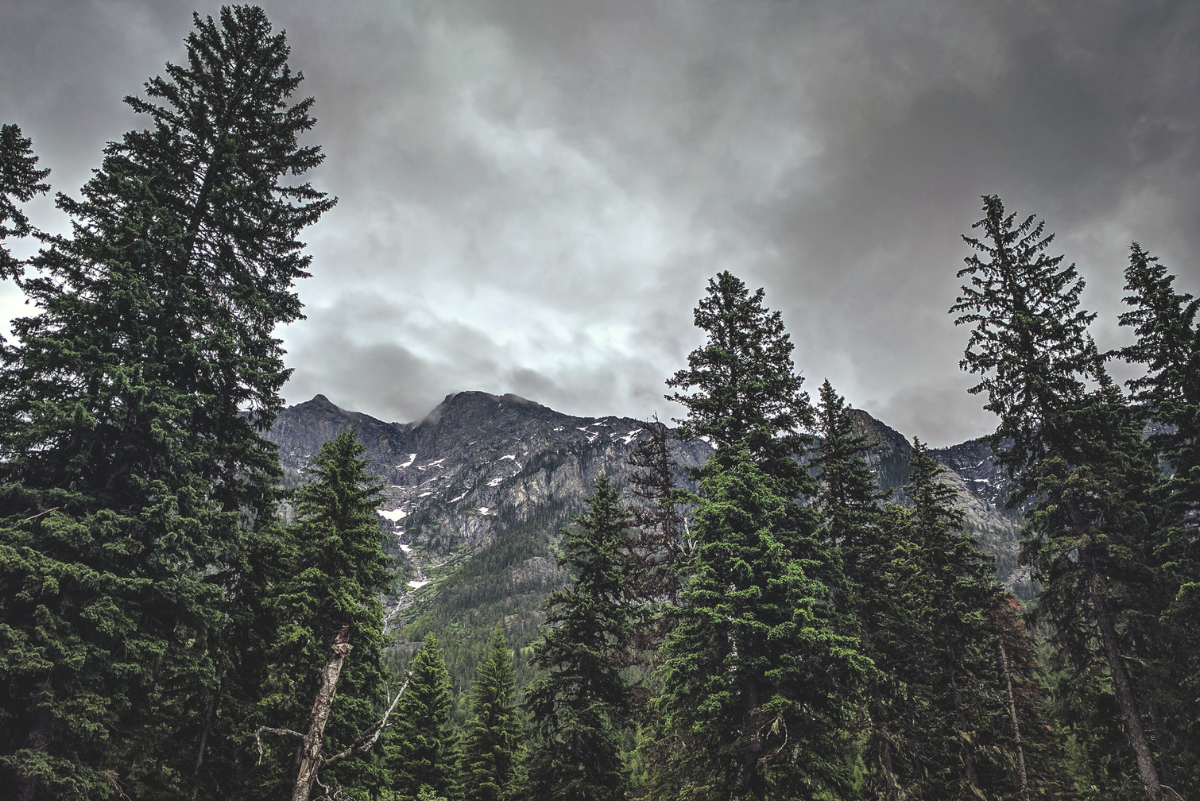 Gallatin National Forest