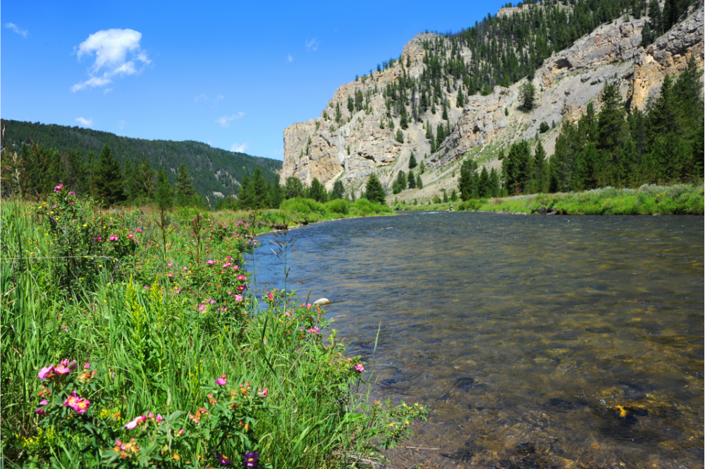 Gallatin Rivern in Montana