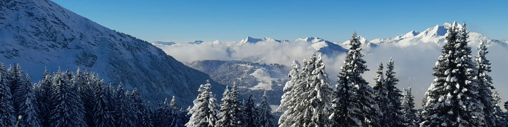 Mountain Scape in Winter