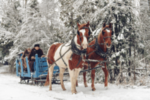 Sleigh Rides in Blue Sky