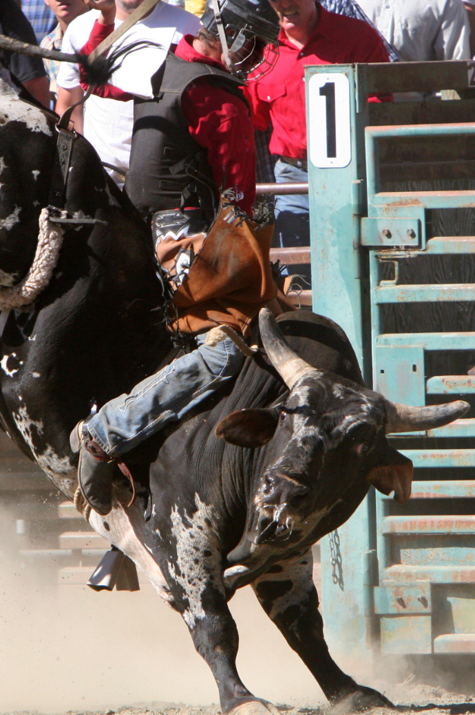 PBR Big Sky Rodeo